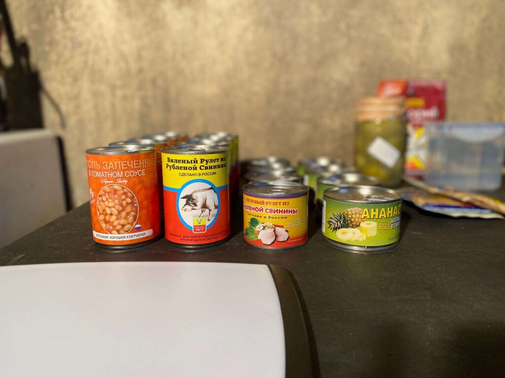 Canned beans, pork, and pineapple on a table, with other canned goods in the background.