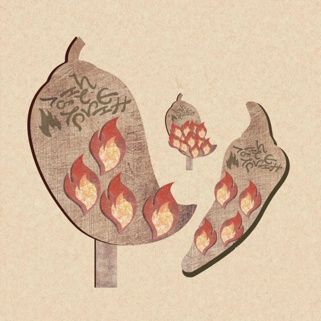 Dungeons & Dragons graphic with chili peppers and flames